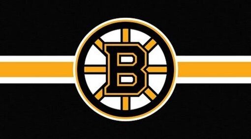 Толстовки NHL Boston Bruins black від компанії Basket Family - фото 1