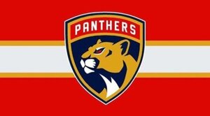 Толстовки NHL Florida Panthers