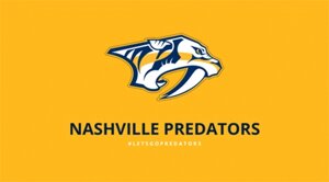 Толстовки NHL Nashville Predators