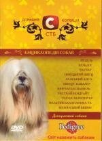 DVD-диск Домашня колекція СТБ: Енциклопедія собак - Декоративні собаки від компанії Стродо - фото 1