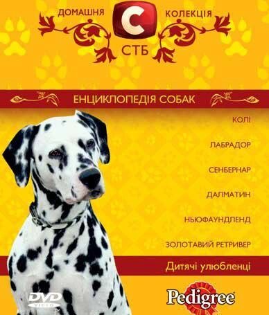 DVD-диск Домашня колекція СТБ: Енциклопедія собак - Дитячі улюбленці від компанії Стродо - фото 1