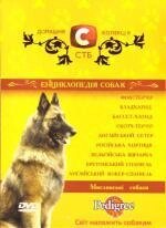 DVD-диск Домашня колекція СТБ: Енциклопедія собак - Мисливські собаки від компанії Стродо - фото 1