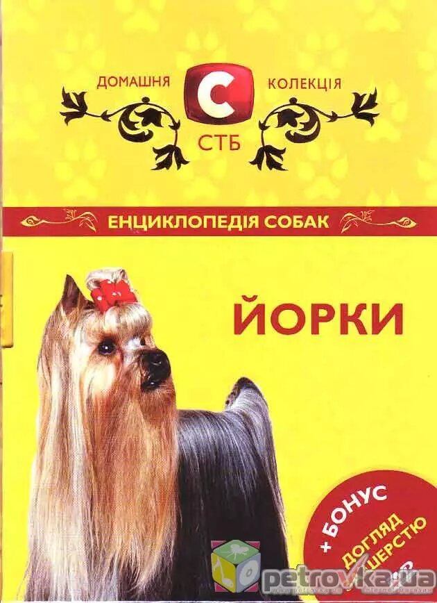 DVD-диск Домашня колекція СТБ: Енциклопедія собак - Йорки від компанії Стродо - фото 1