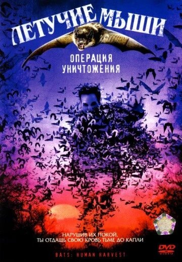 DVD-диск Летючі миші: Операція знищення (Д. Чокачи) (США, 2007) від компанії Стродо - фото 1