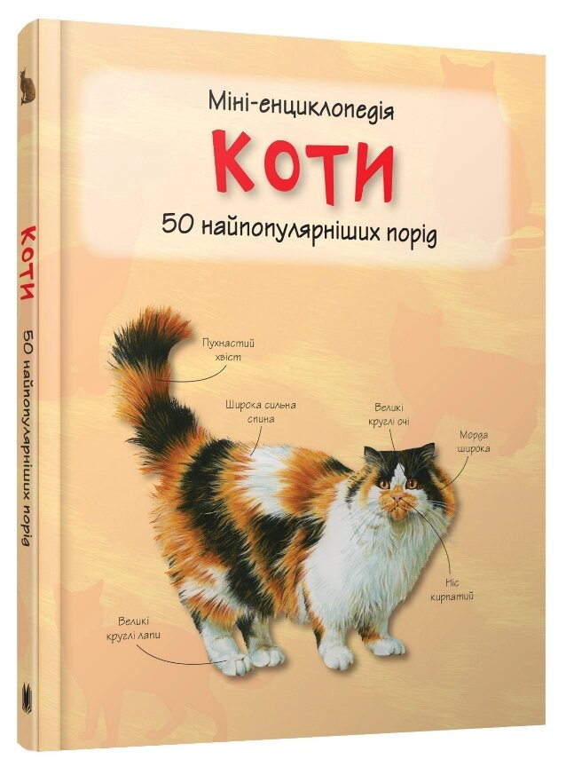Книга Коти. 50 найвідоміших видів: міні-енциклопедія (КМ-Букс) від компанії Стродо - фото 1
