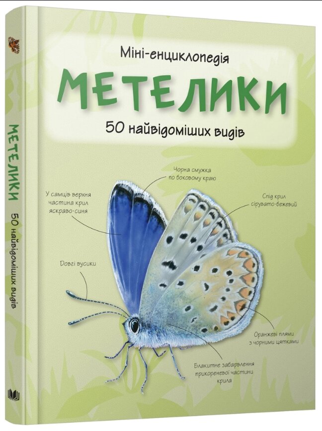 Книга Метелики. 50 найвідоміших видів: міні-енциклопедія (КМ-Букс) від компанії Книгарня БУККАФЕ - фото 1