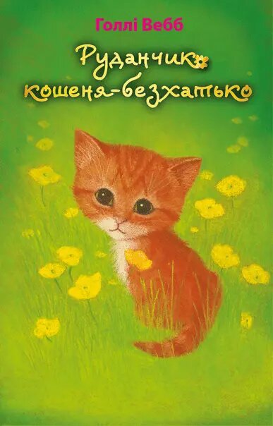 Книга Руданчик – кошеня-безхатько. Автор - Голлі Вебб (BookChef) від компанії Книгарня БУККАФЕ - фото 1