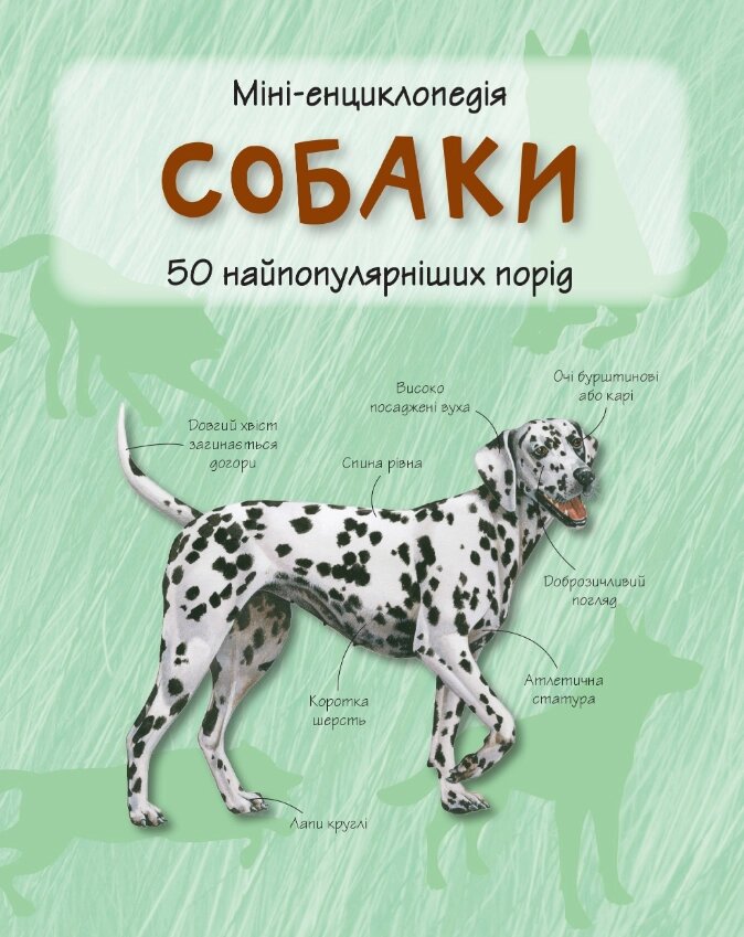 Книга Собаки. Міні-енциклопедія (КМ-Букс) від компанії Книгарня БУККАФЕ - фото 1