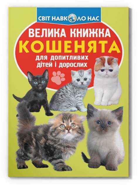 Книга Велика книжка. Кошенята (Crystal Book) від компанії Книгарня БУККАФЕ - фото 1