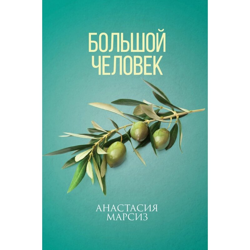 Книга Велика людина. Автор - Анастасія Марсіз (Самміт-Книга) від компанії Книгарня БУККАФЕ - фото 1