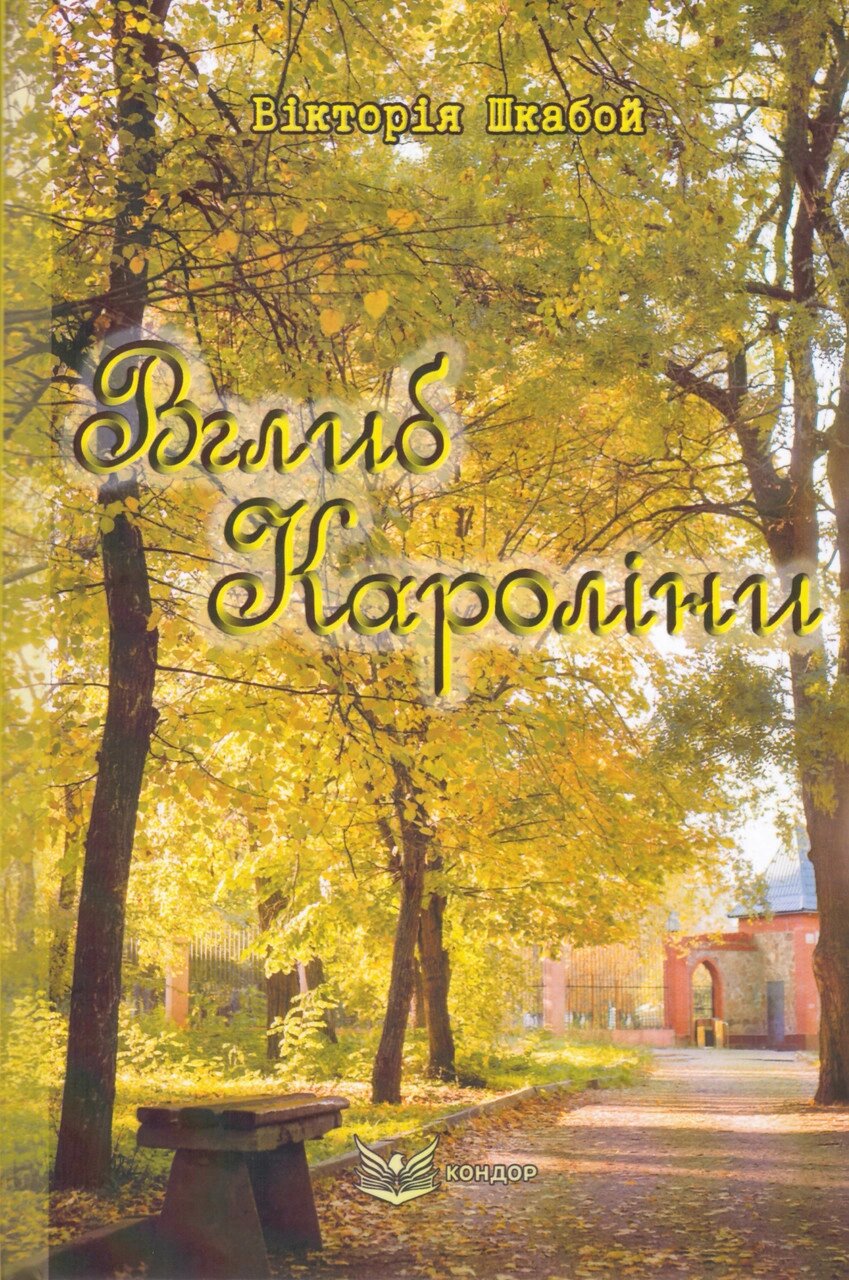 Книга Вглиб Кароліни. Автор - Вікторія Шкабой (Кондор) від компанії Книгарня БУККАФЕ - фото 1