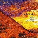 Музичний CD-диск. Tindersticks - Falling Down a Mountain від компанії Стродо - фото 1
