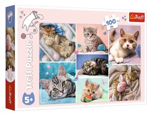 Пазли У світі котів. In the cat world (100 ел.) 16420 (Trefl)