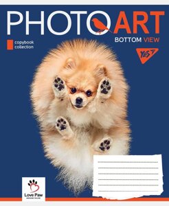 Зошит у клітинку 36арк. 766414 серія "Photoart" (YES) (10 шт. в уп.)