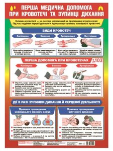 Плакат Перша медична допомога при кровотечі та зупинці дихання (Укр) (Ранок)