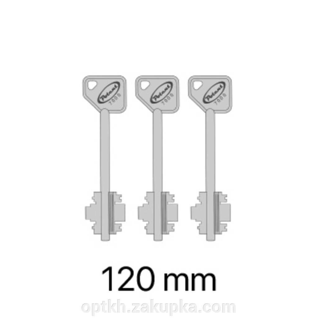 Комплект 3 ключа 120 мм до замків серії 7000/8000 від компанії СПД Лініченка С Н - фото 1