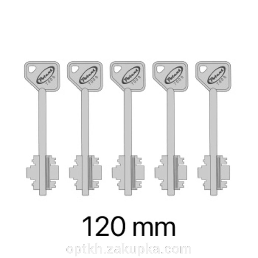 Комплект 5 ключів 120 мм до замків серії 7000/8000 від компанії СПД Лініченка С Н - фото 1