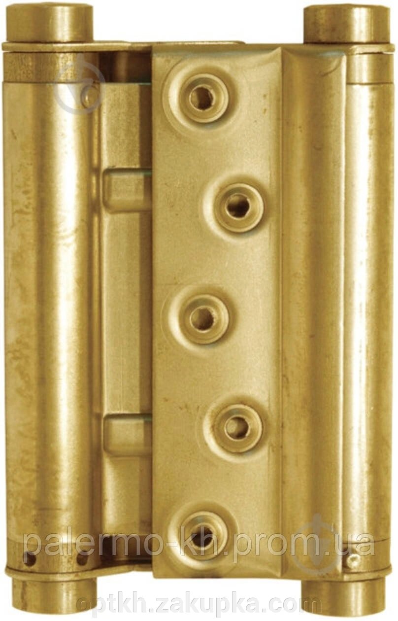 Петля для маятникових дверей MERT 33 Sari 02284 від компанії СПД Лініченка С Н - фото 1