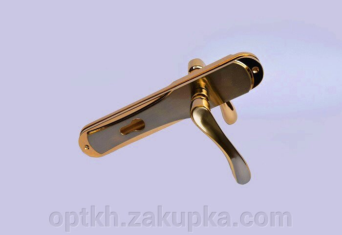Ручка на планці для вхідних дверей алюміній 85 мм Hi-LUKE BH 46A (P04-H53BN/GP) від компанії СПД Лініченка С Н - фото 1