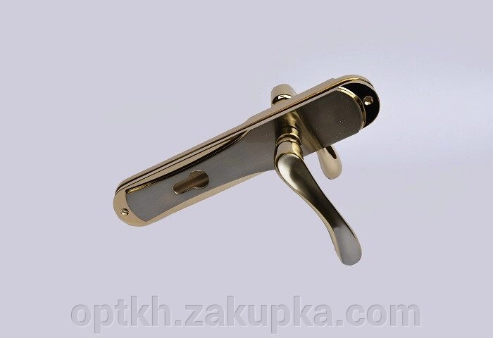 Ручка на планці для вхідних дверей алюміній 85 мм Hi-LUKE BH 46B (P04-H53SN/GP) від компанії СПД Лініченка С Н - фото 1