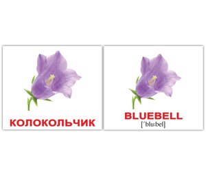 Квіти / flowers міні 20. картки домана