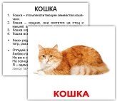 « Домашні тварини і дитинчата з фактами » МІНІ 40 Картки Домана від компанії Інтернет-магазин "Книжник" - фото 1