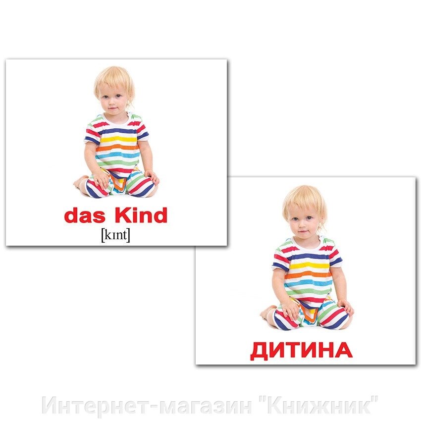 Міні-картки Домана, “РОДИНА/FAMILIE” УКР/НІМ, 40 двосторонніх карток. від компанії Інтернет-магазин "Книжник" - фото 1