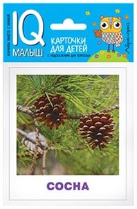 Розумний малюк. Дерева. Набір карток для дітей. Російськомовні підписи.