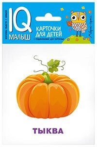 Розумний малюк. Що росте на грядці? Російськомовні підписи. від компанії Інтернет-магазин "Книжник" - фото 1