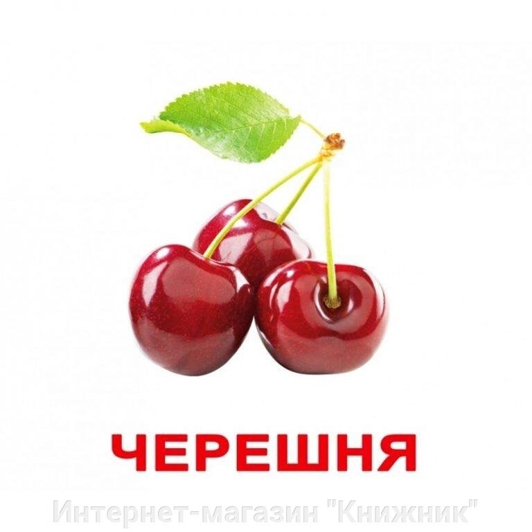 ЯГОДИ. Картки Домана. Вундеркінд з пелюшок. Ламіновані від компанії Інтернет-магазин "Книжник" - фото 1