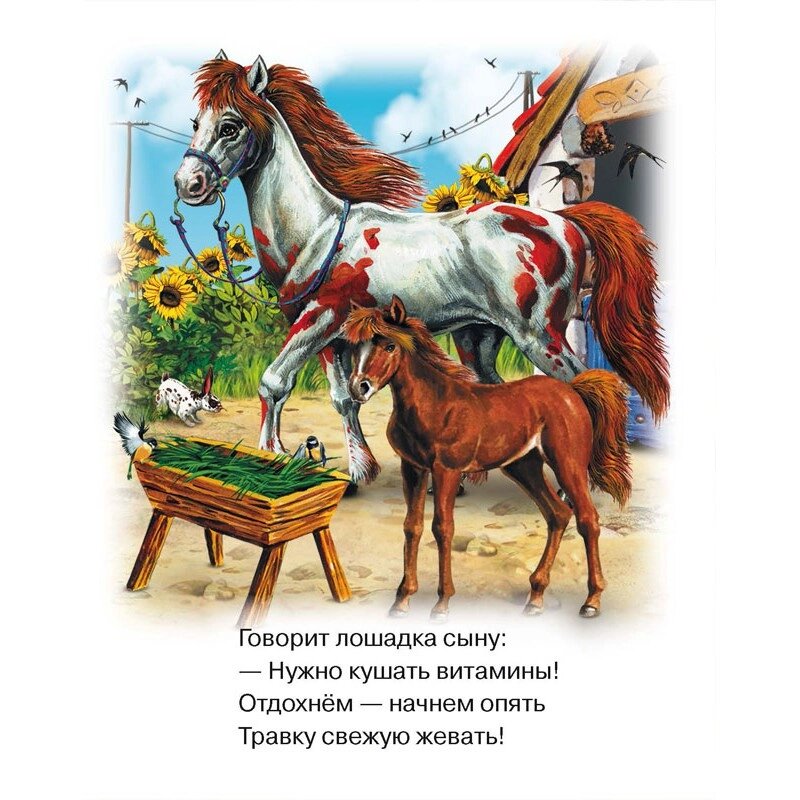 Книги про тварин Домашні тварини від компанії Канц Плюс - фото 1