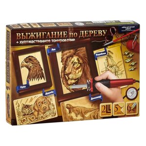 Набір Випалювання по дереву-2 укр DankoToys (6)