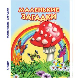 Книжка Дрібниця А5 Маленькі загадки