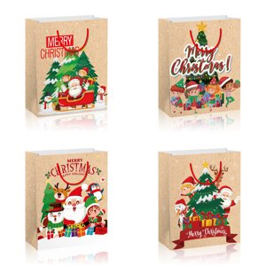 Пакет паперовий MEDIUM XMAS 17,8x9,8x22,9 210gsm асорті