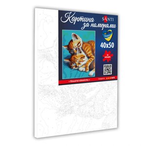 Картина за номерами на полотні в плівці 40*50см Кошача ніжність Santi