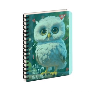 Блокнот B6 144 арк з розд Owl Yes