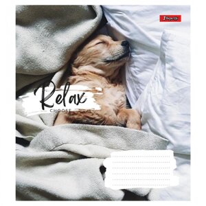 Зошит 18 клітинка Relax choose 1Вересня (25/400)