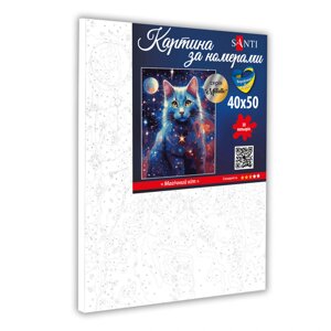 Картина за номерами на полотні в плівці 40*50см метал. фарби Магічний кіт Santi