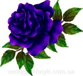 Світла седмиця - фото pic_3f70ba147fcc5de279401cbe7396430c_1920x9000_1.jpg