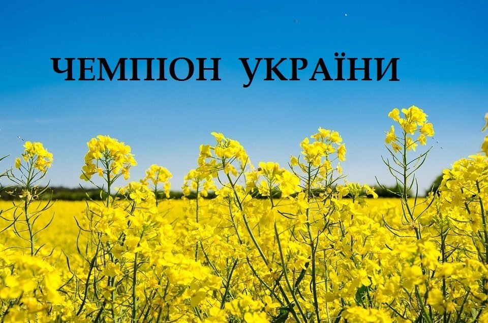 Чемпіон України сорт ріпаку озимого, мішок 45кг від компанії Сементе - фото 1