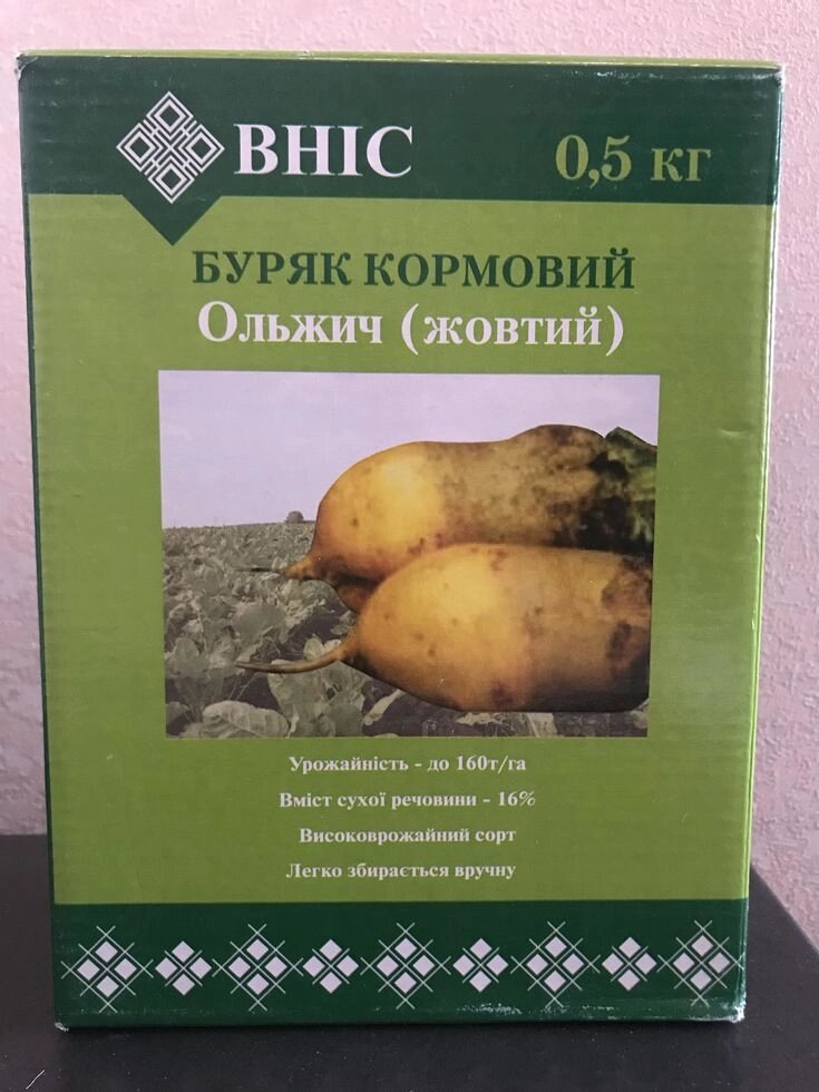 Насіння кормового буряка Ольжич жовтий від компанії Сементе - фото 1