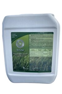 Тесталип, прилипач 5л