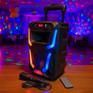Колонка караоке NDR 8908