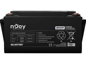 Акумулятор для дбж njoy GE6512FF 12V 65ah (btvgcftebacffcw01B)