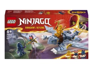 Конструктор Lego Ninjago Молодий дракон Рію (71810)