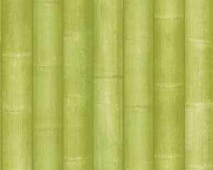 Німецькі 3d шпалери 96184-3, малюнок - графіка з імітацією стебел бамбука, салатові та зелені, вінілова супермийка