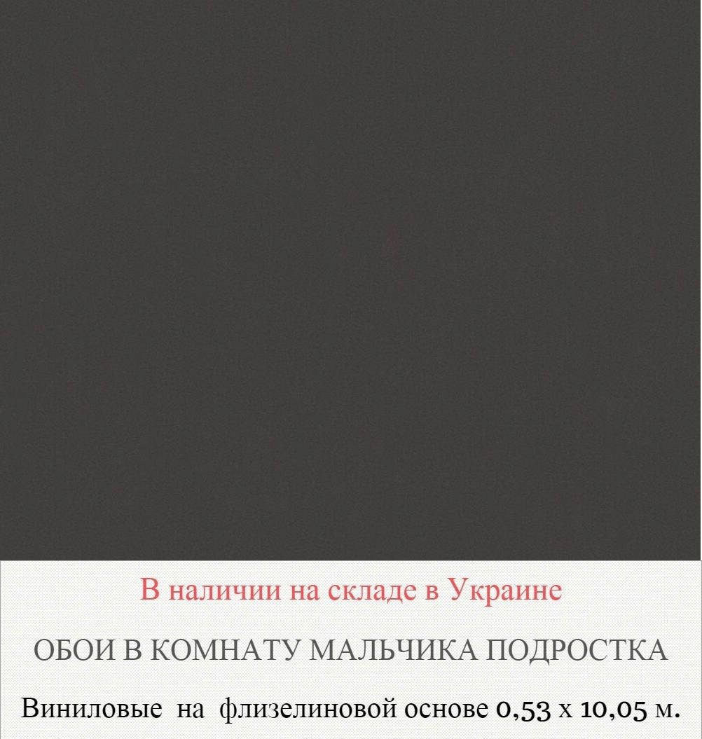 Каталог обоев в подростковую комнату для мальчиков 12-16 лет - фото pic_1685f9a2918ecd9f347524b00e2d062b_1920x9000_1.png