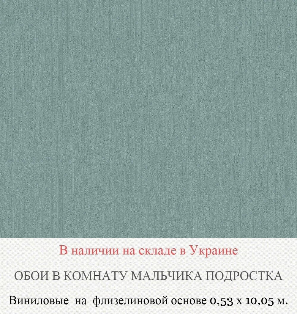 Каталог обоев в подростковую комнату для мальчиков 12-16 лет - фото pic_593adbed26b9ef02f69d736b695e8d8f_1920x9000_1.jpg