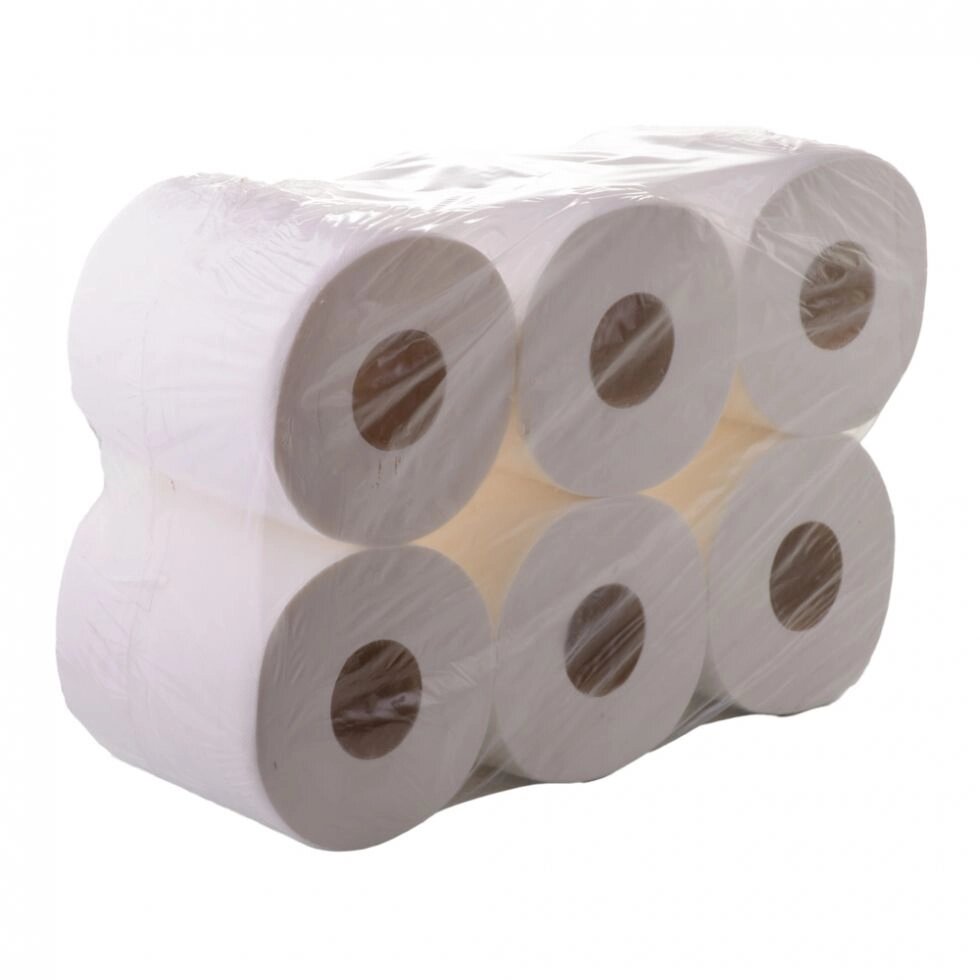 Туалетний папір джамбо білий 2-куль 100 м Eco Point Clean - роздріб