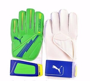 Воротарські рукавички Puma Evo Speed ​​GK Gloves